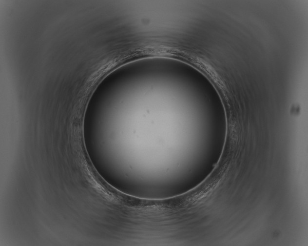 X0000091700433200708241226