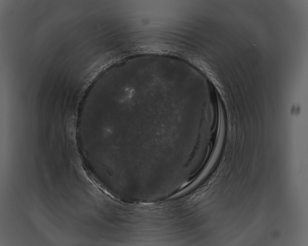 X0000091700434200708241226