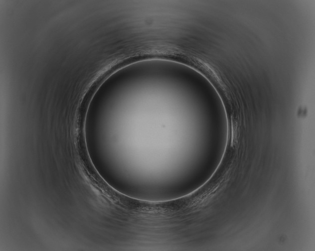 X0000091700435200708241226