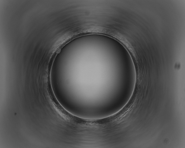 X0000091700437200708241226