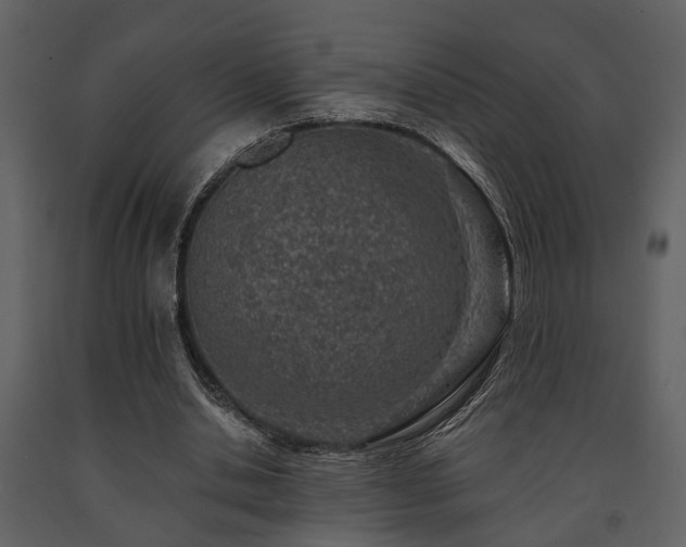 X0000091700438200708241226