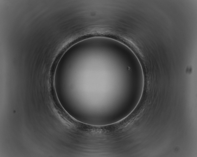 X0000091700439200708241226