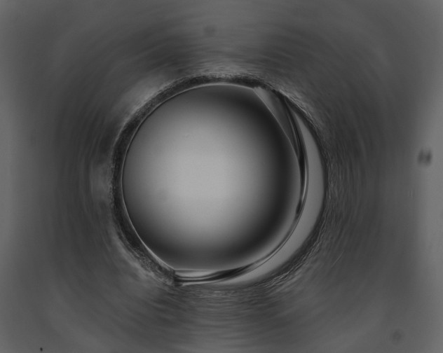 X0000091700440200708241226
