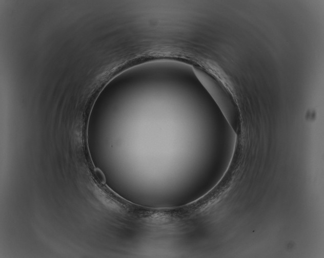X0000091700441200708241226