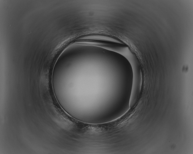 X0000091700442200708241226