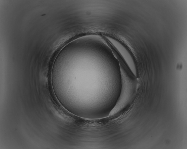 X0000091700443200708241226