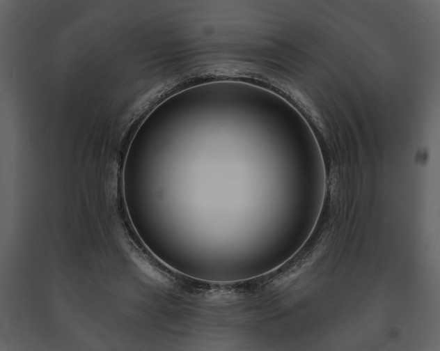 X0000091700445200708241226