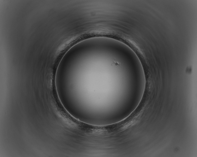 X0000091700446200708241226