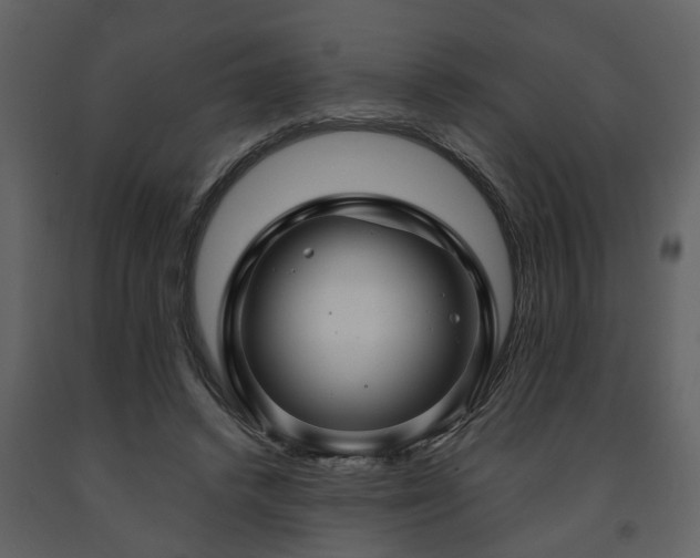 X0000091700448200708241226