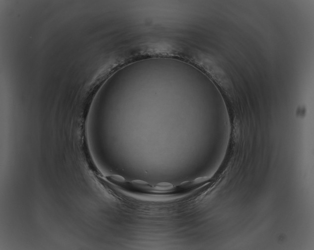 X0000091700449200708241227