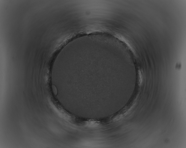 X0000091700451200708241227