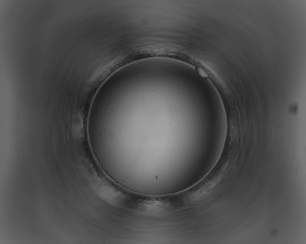 X0000091700453200708241227