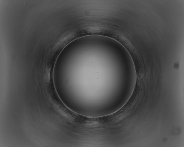 X0000091700454200708241227