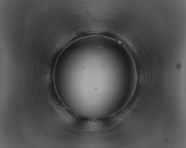 X0000091700455200708241227