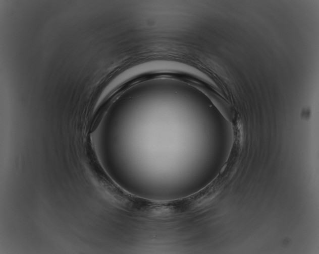 X0000091700456200708241227