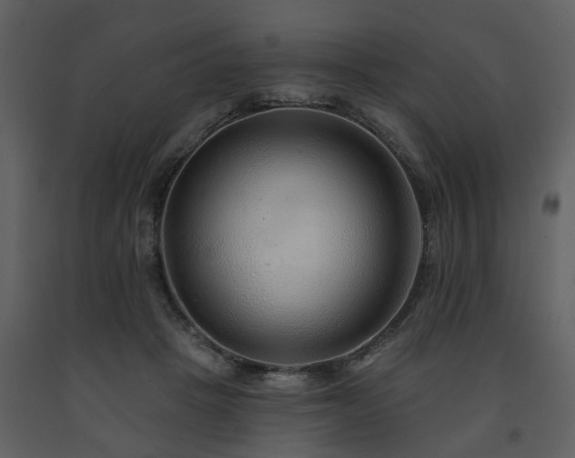 X0000091700457200708241227