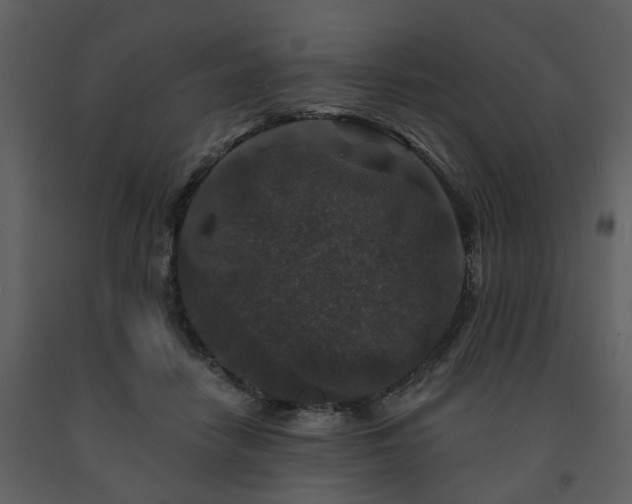 X0000091700458200708241227