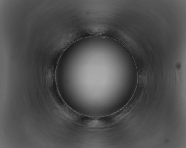 X0000091700460200708241227