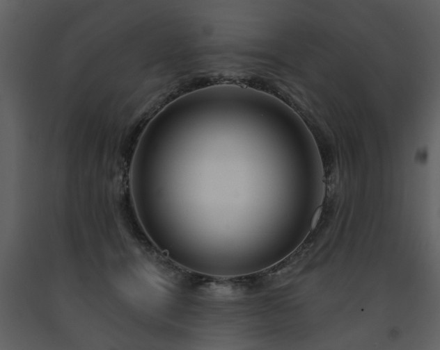 X0000091700464200708241227