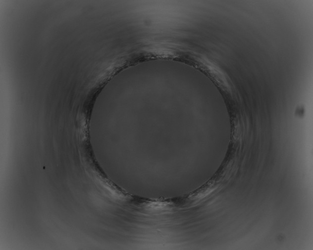 X0000091700465200708241227