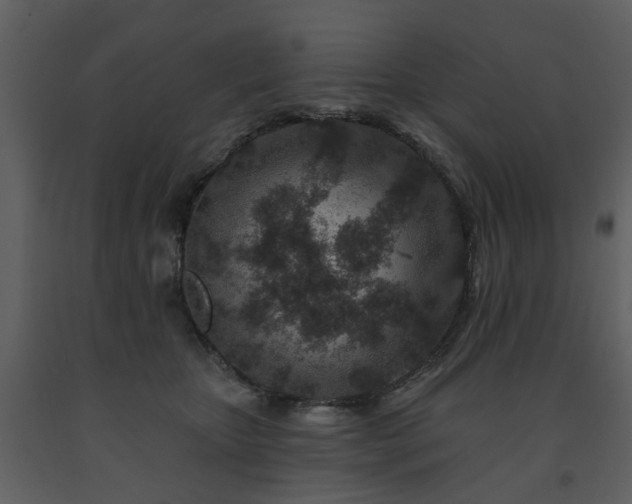 X0000091700467200708241227