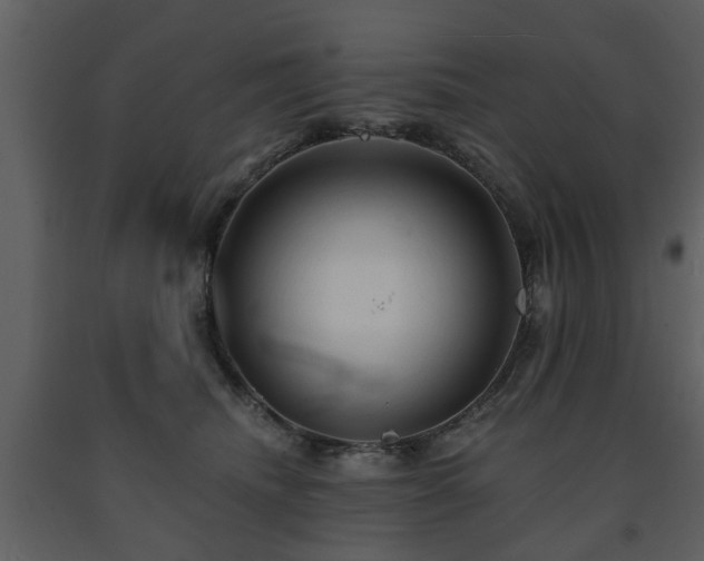 X0000091700468200708241227