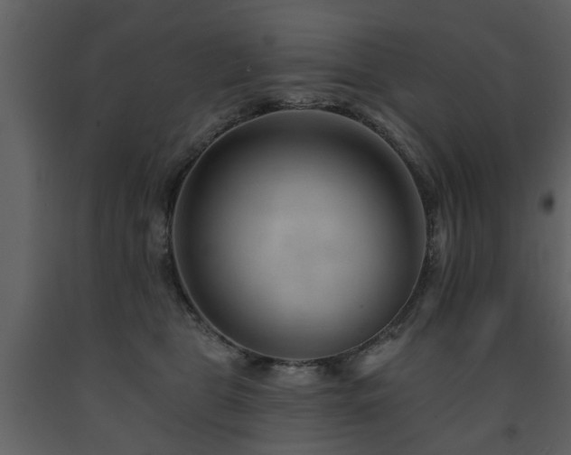 X0000091700469200708241227