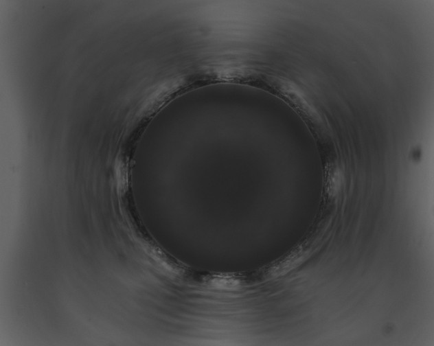 X0000091700471200708241227