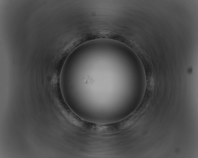 X0000091700472200708241227