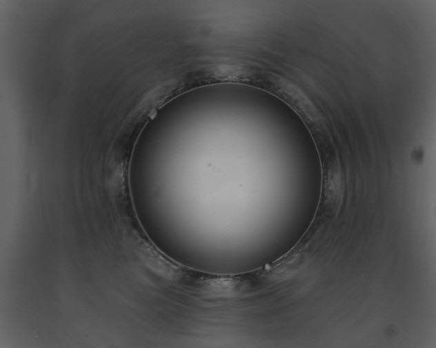 X0000091700473200708241227
