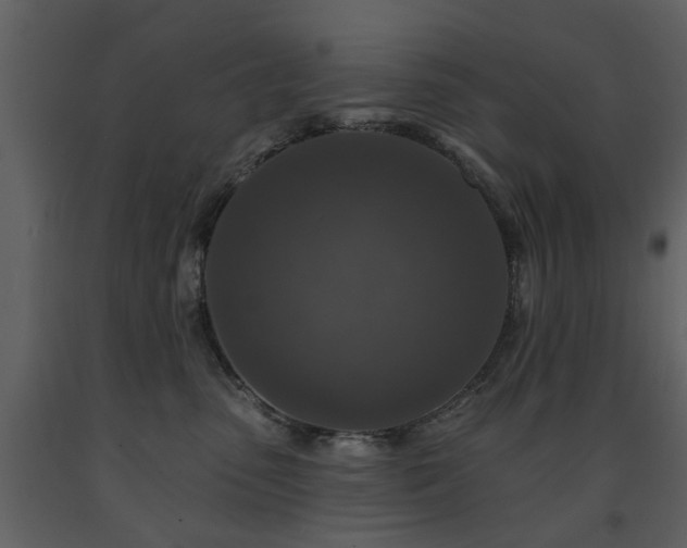 X0000091700475200708241227