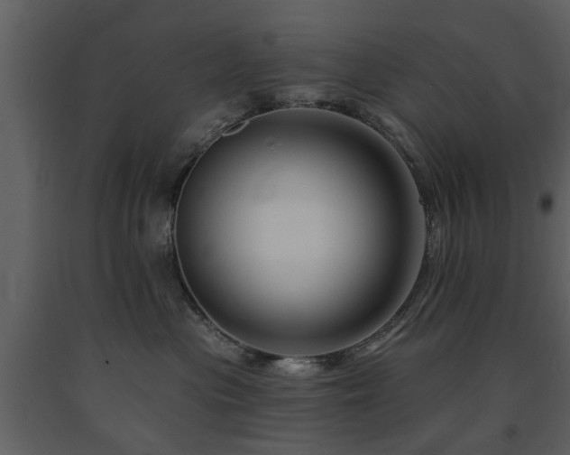 X0000091700477200708241227