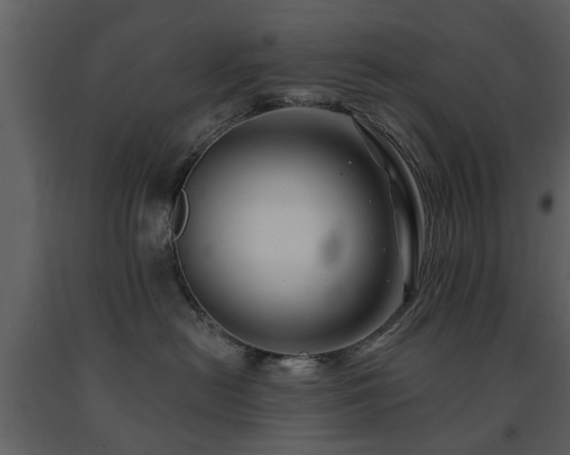 X0000091700478200708241227