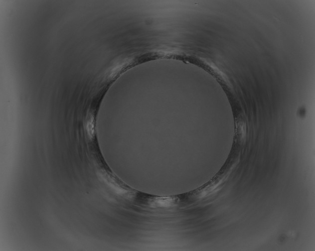X0000091700479200708241227