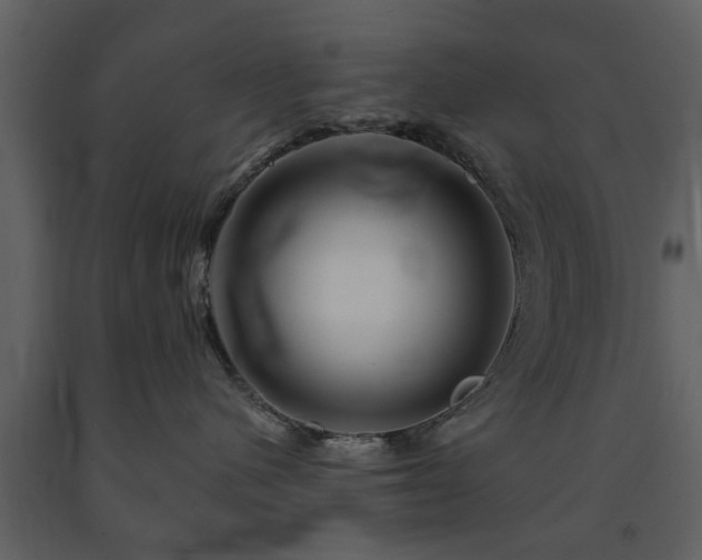 X0000091700480200708241227
