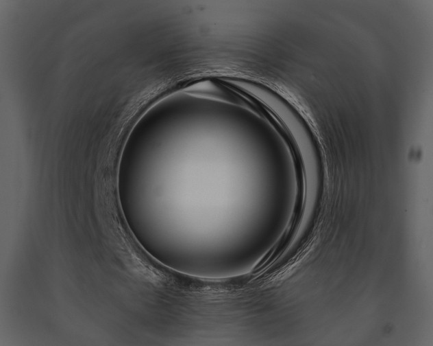 X0000091700481200708241226