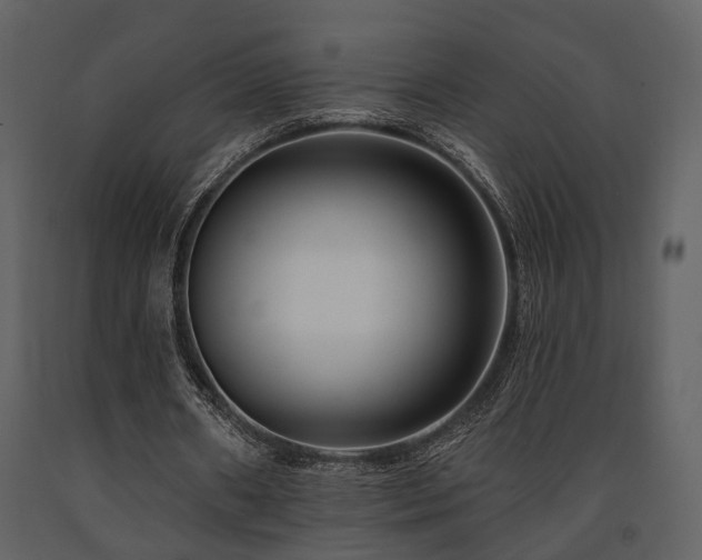X0000091700482200708241226