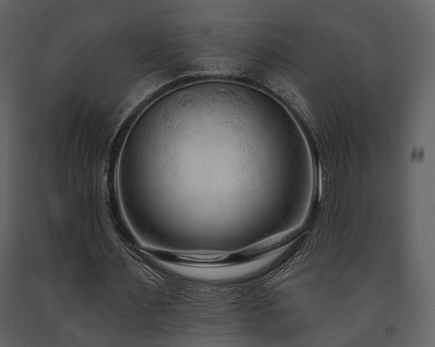 X0000091700483200708241226