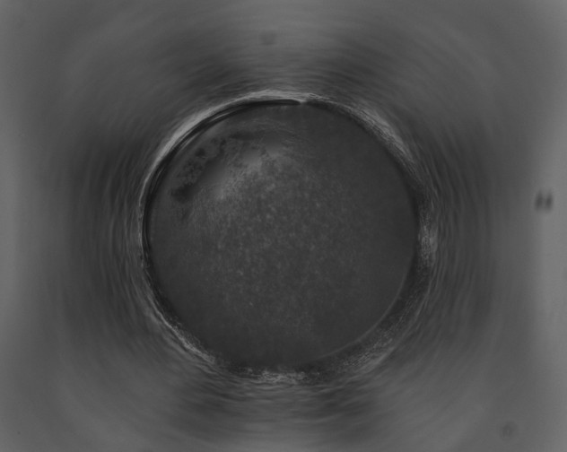 X0000091700484200708241226