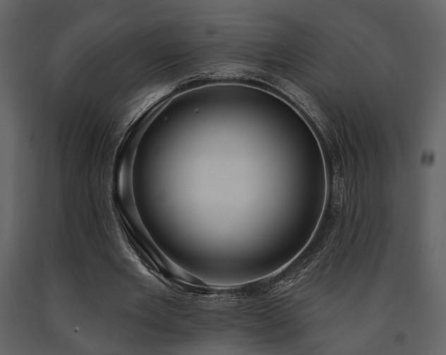 X0000091700485200708241226