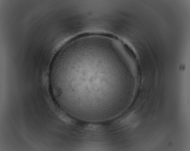X0000091700487200708241226