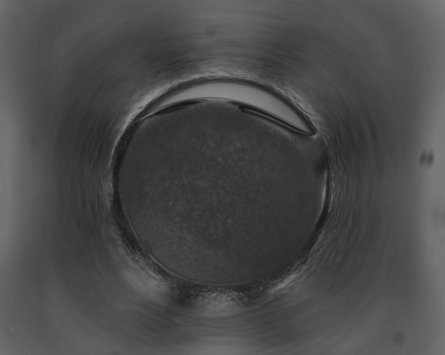 X0000091700488200708241226