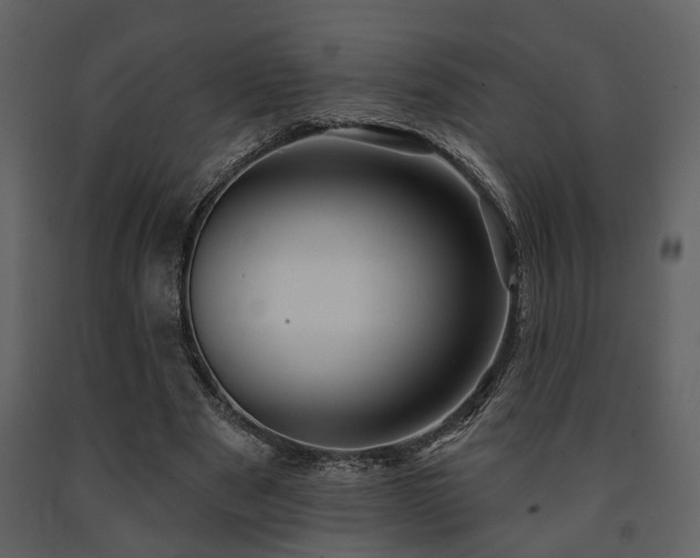 X0000091700489200708241226