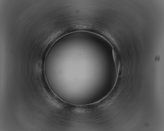 X0000091700490200708241226