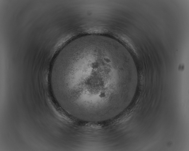 X0000091700491200708241226