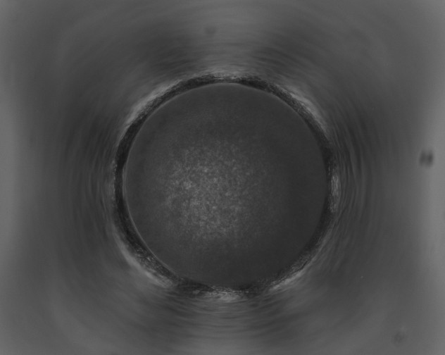 X0000091700492200708241226