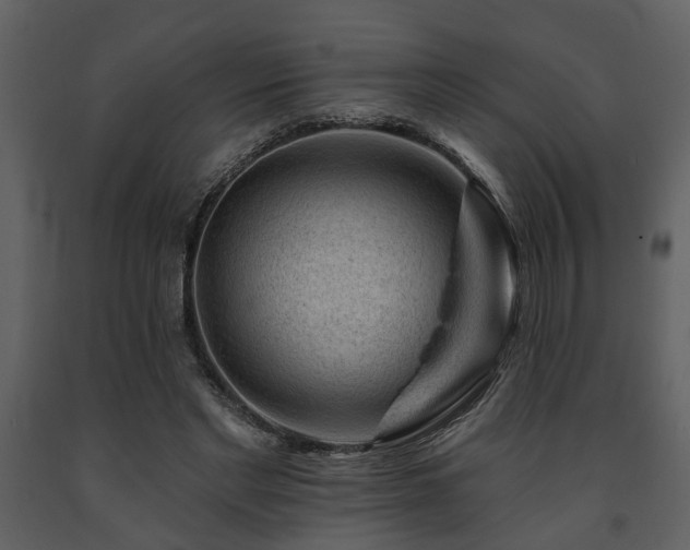X0000091700493200708241226