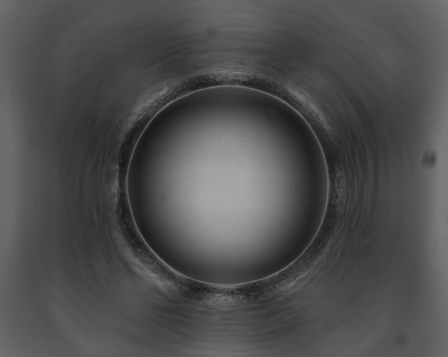 X0000091700494200708241226