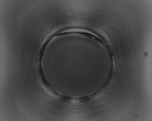 X0000091700496200708241226