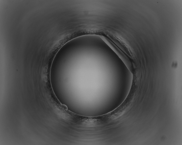 X0000091700497200708241226